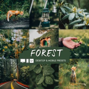 Preset Lightroom Premium - 10 Forest + LUTs
