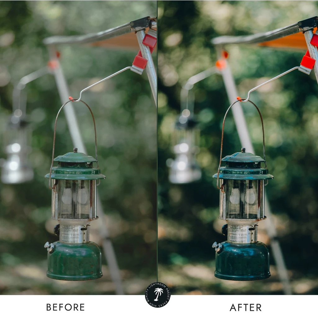 Preset Lightroom Premium - 10 Forest + LUTs - Image 5
