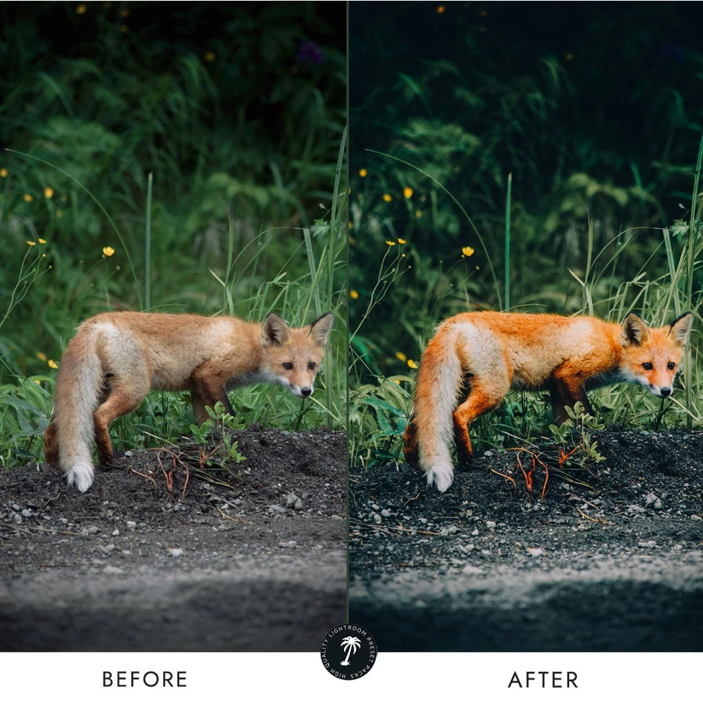 Preset Lightroom Premium - 10 Forest + LUTs - Image 4