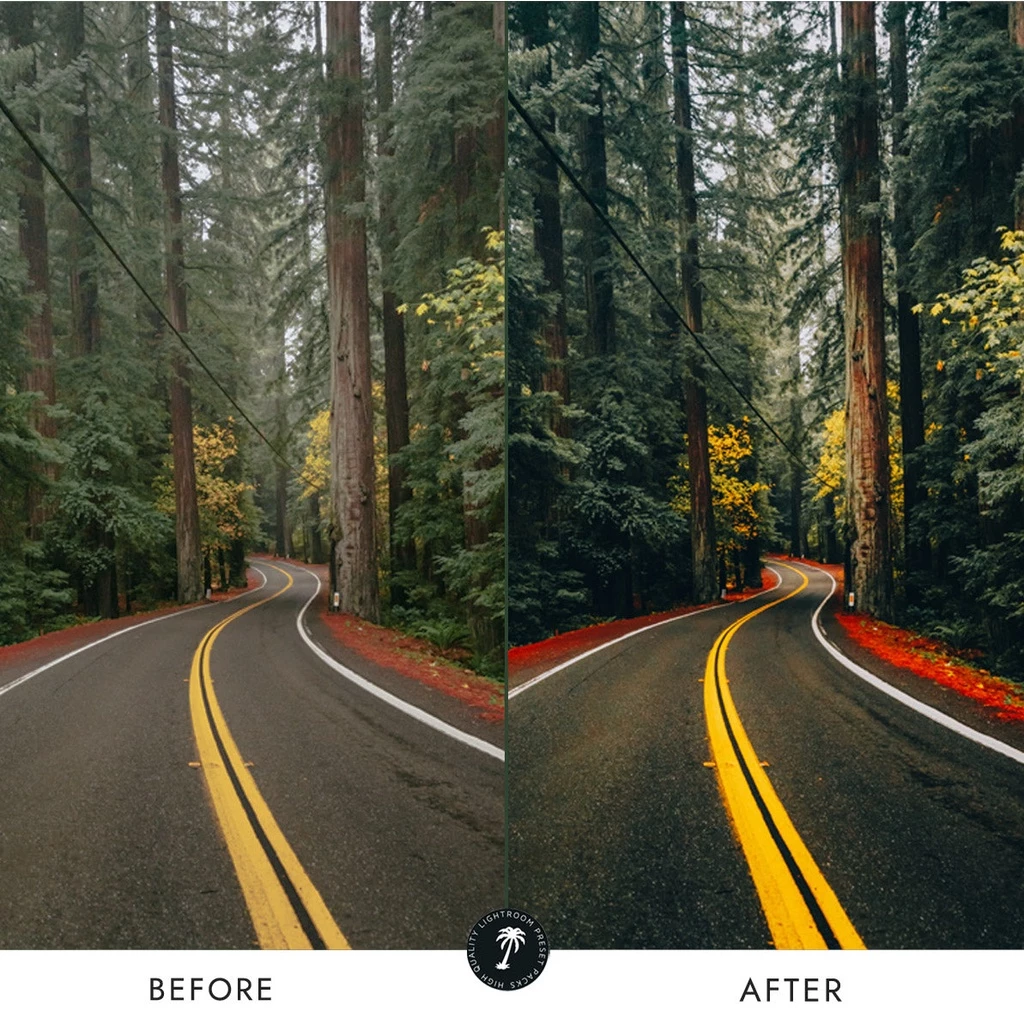 Preset Lightroom Premium - 10 Forest + LUTs - Image 2